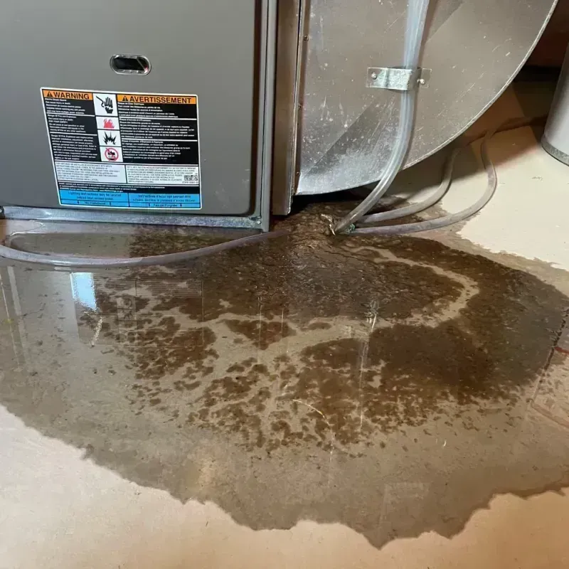 Appliance Leak Cleanup in Vine Grove, KY